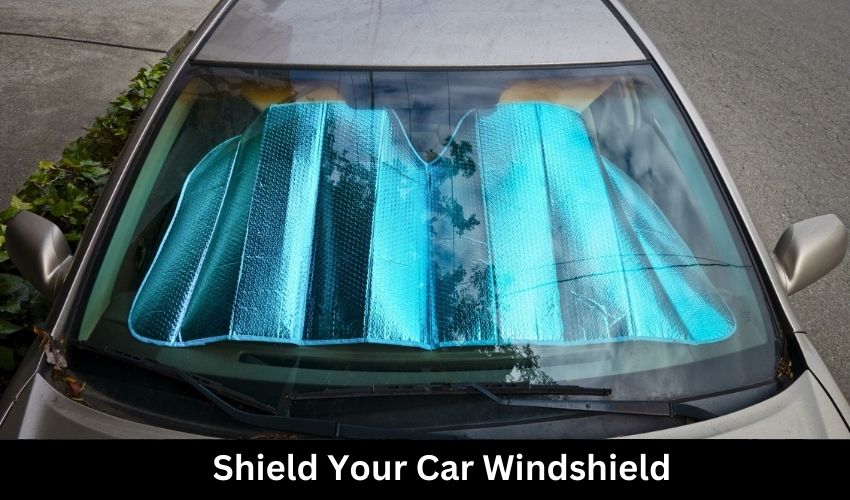 Shield Your Car Windshield